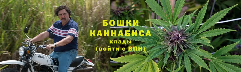 где продают наркотики  Губкинский  Конопля VHQ 